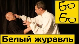 Кунг-фу — это тяжелая работа. Виктор Панасюк о 