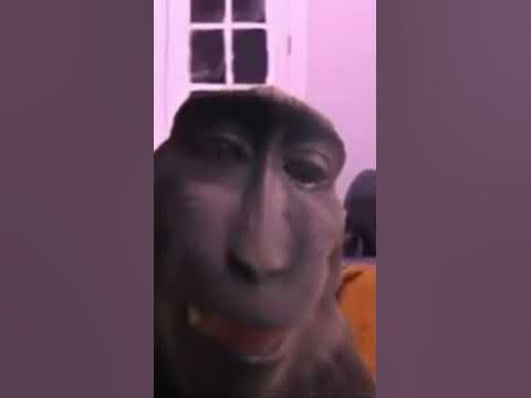 Манки пон - YouTube
