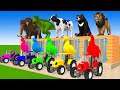 5 giant duck monkey cow chicken bear dinosaur sheep transfiguration funny animal 2023