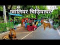 Gwalior zoo  gandhi prani udyan     gwalior india