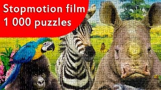 Puzzle - It's a Class Photo - Stopmotion film