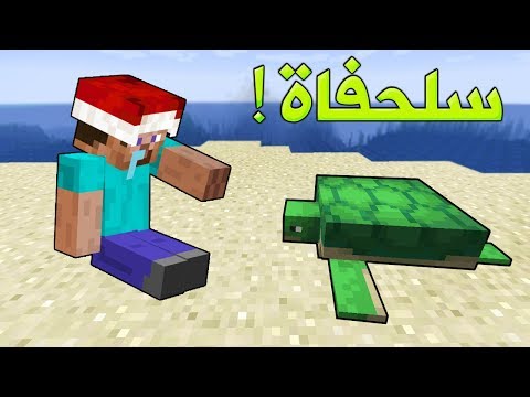 خليج كرافت 15 البحث عن السلحفاة الجديدة 