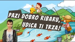 Ribar