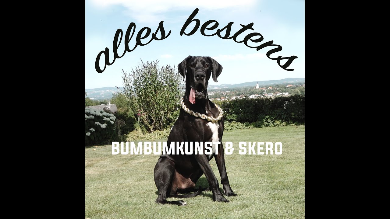 BumBumKunst & Skero die Maasnbriada - Alles Bestens (official video ...