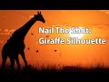 Nail The Shot - Giraffe Silhouette At Sunset