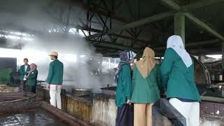 Potensi Desa Kesumadi Kecamatan Bekri, Lampung Tengah