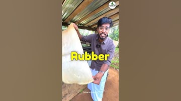 Rubber Farming 🎈🌳| ₹3000/Daily🔥 | Agrotill | #farming #agriculture #shorts