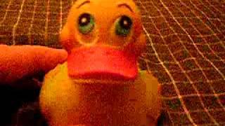 Squeaky Original Duck, Part 2