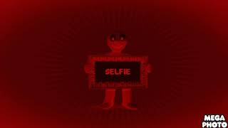 Morph Selfie Louduese
