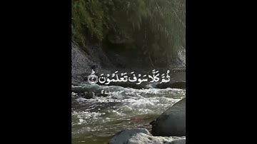 سورة التكاثر #قران #قران_كريم #قرآن #عبدالباسط_عبدالصمد #المنشاوي #fyp #fypシ #foryou