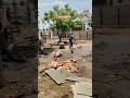 civil work #site #casting #beam #cement #construction #trading #video #viral