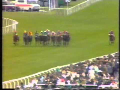 Horse Racing 1991 Queen Mary Stakes Royal Ascot. Marling.Avi