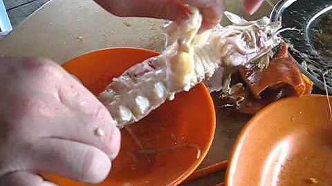 How to Eat Mantis Shrimp? - DayDayNews