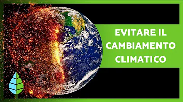 Cosa si sta facendo per il cambiamento climatico?