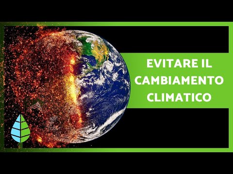 Video: Come possiamo contribuire a ridurre il cambiamento climatico?