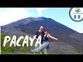 PACAYA Volcano Guatemala | Roasting Marshmallows (2019) Backpacking  Guatemala