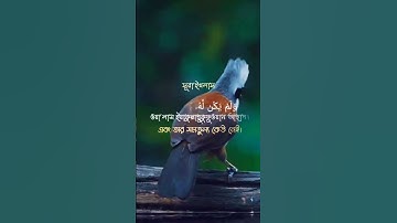 সূরা ইখলাস,سورة الإخلاص,surat al'iikhlas,সু মধুর কণ্ঠে সূরা ইখলাস তেলাওয়াত,(-১১২ -৪ - মাক্কী)