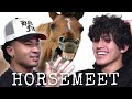 Horsemeet the story