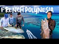 French polynesia 2024 spearfishing fishing foiling