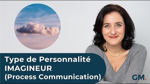 Le Type de Personnalité IMAGINEUR (Process Communication)