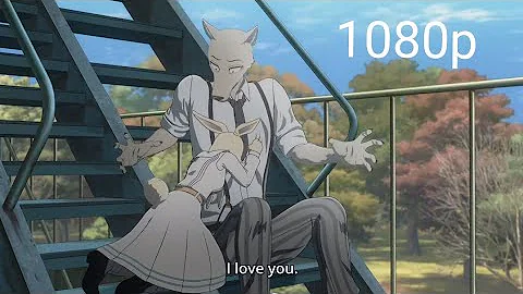 Does Legosi get with Haru?