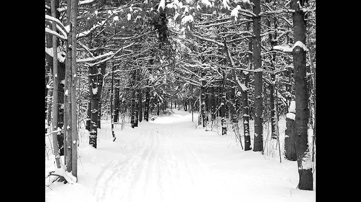 Eric Whitacre, Robert Frost - Stopping by Woods on...