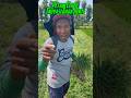 Panen Bawang Merah #shortvideo #shorts #short #farmer #farming #petanimuda