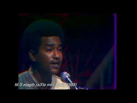 حيدر بورتسودان بعداك طال 88