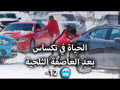 فيديو: أين تفرخ العاصفة الثلجية؟