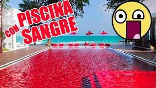 TOP 10 PISCINAS más INCREÍBLES y GRANDES del MUNDO - YouTube