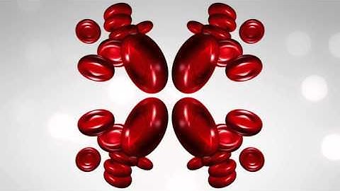 Conic Sections - Ellipse and Parabola