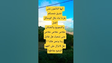#سورة_آل_عمران #قران #القران_الكريم #آيات_بينات #ماهر_المعيقلي #الجزائر #اكسبلور #السعودية #لايك