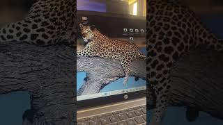 pdf file not rename or pdf file not delete || from WINRAR || #filerename #file #fileformats