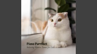 Purring Symphony in Harmony with Nature