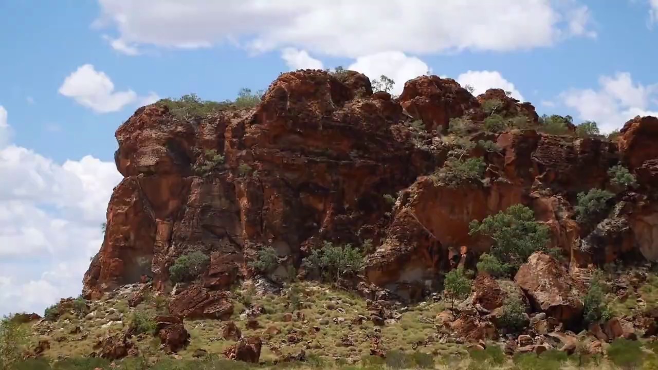 Road trip, Broome to Halls Creek, Crocodiles, Cows and the Kimberly