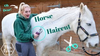 HORSE HAIRCUT | Clipping my horse MYSELF! Again! Oh Dear.. | This Esme