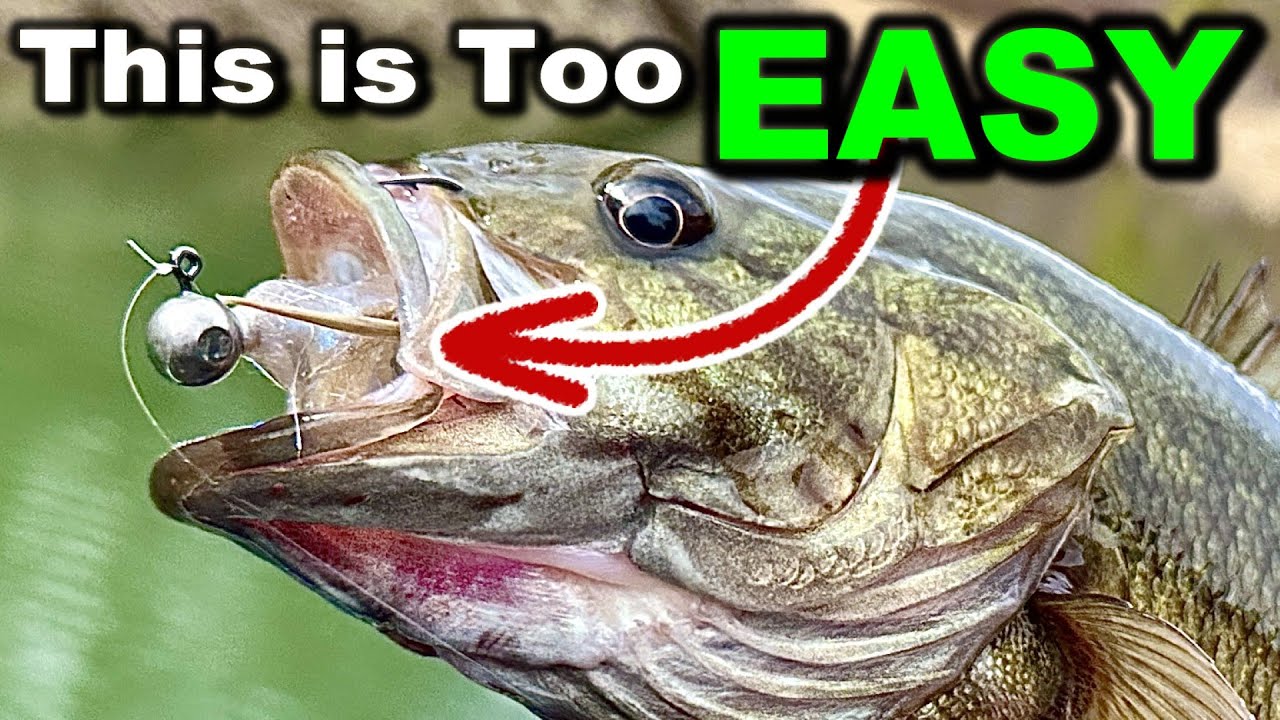 Spring Bass Fishing Is EASY When You Know This!