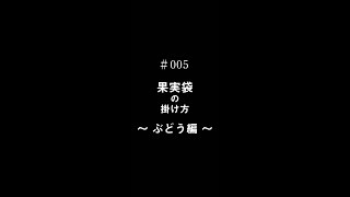 The Farmer’s Sound #005 「果実袋の掛け方 ～ぶどう編～」