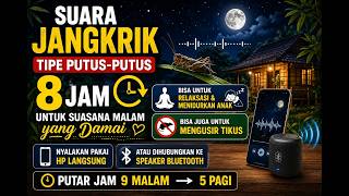 Suara jangkrik tipe putus-putus 8 jam untuk mengusir tikus dan menidurkan anak