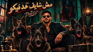 مش شايف حد فيكو  علشان كدا الكلام ده مش ليكو    ديو كات                                     - اسمعها