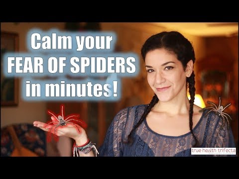 Como começar o medo de aranhas em minutos! - Stress Relief / EFT / Tapping