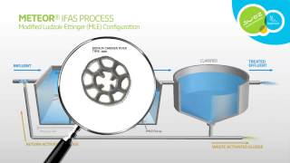 Meteor® IFAS Process
