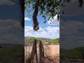 o nordeste e suas maravilha