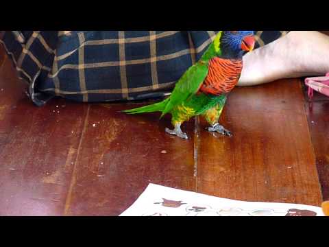 YouTube video