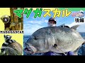 マダガスカルでGTフィッシング2023(後編)GT Fishing in Madagascar