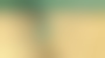 سورة إبراهيم | من صلاة التراويح | عادل ابرهيم