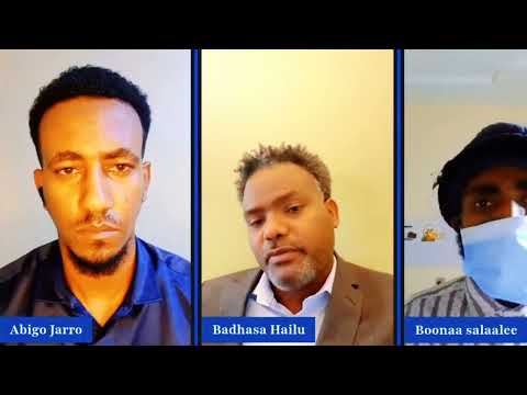 Marii Adda Qeerro Oromoo Haala Amma Kessa Jirru Irratti 4 November 2025