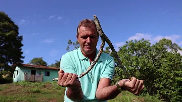 Onde nasce a água?