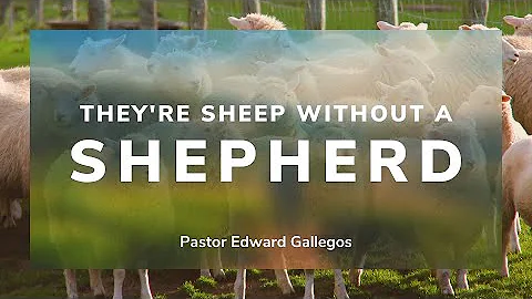 They're Sheep Without A Shepherd | Pastor Edward G...
