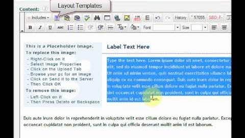 Texteditor & WYSIWYG Editor
